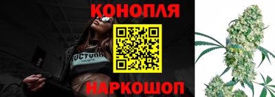jwh Гусев