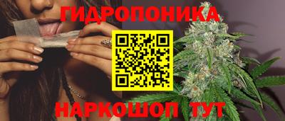 jwh Гусев